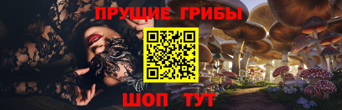 Заводоуковск  Псилоцибиновые грибы Psilocybe  Вход с VPN 